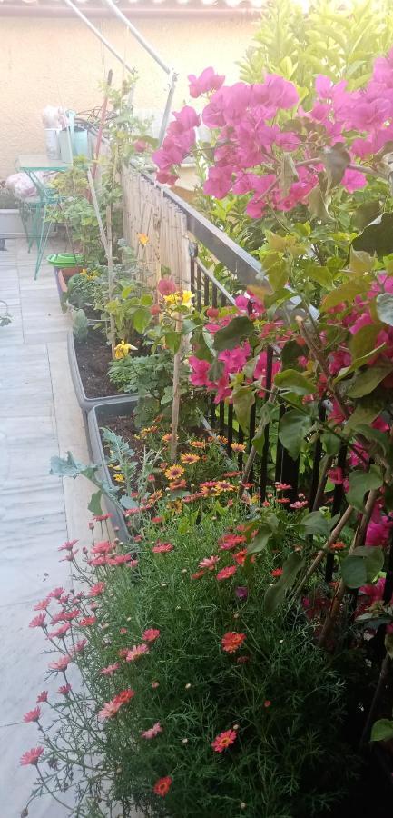 Aegina'S Flowers House Esterno foto