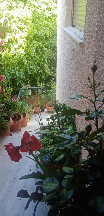 Aegina'S Flowers House Esterno foto