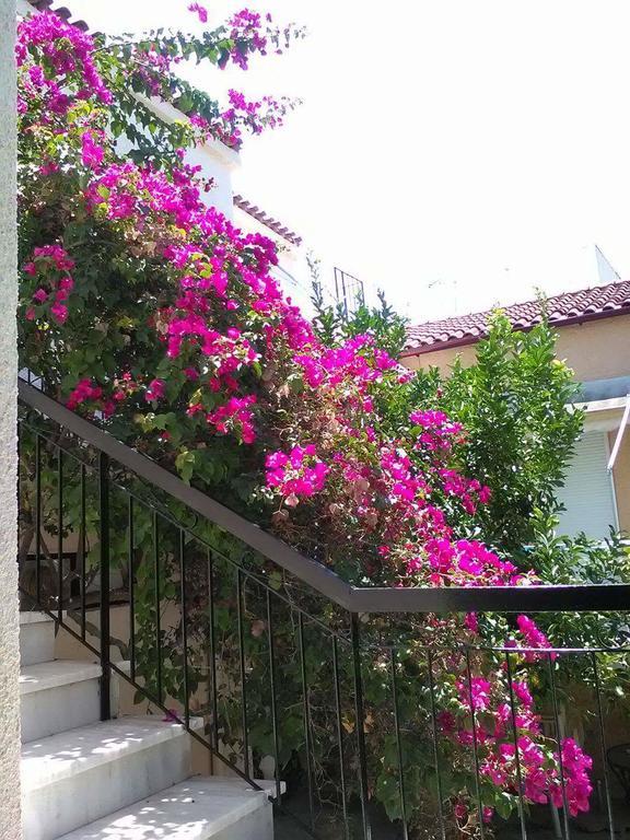 Aegina'S Flowers House Esterno foto