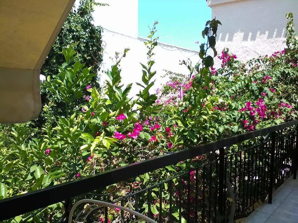 Aegina'S Flowers House Esterno foto