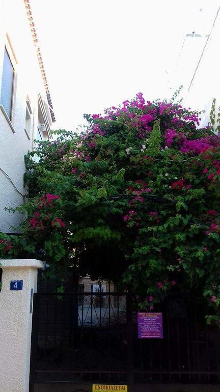 Aegina'S Flowers House Esterno foto