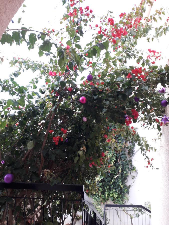 Aegina'S Flowers House Esterno foto
