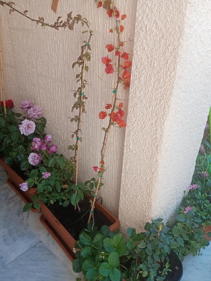 Aegina'S Flowers House Esterno foto